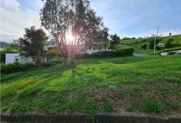 Lote de Terreno en  La Pradera, Jamundí