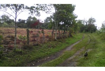 Casa en  Totoro, Cauca