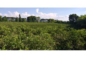 Lote de Terreno en  La Tebaida, Quindío