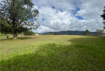 Lote de Terreno en  El Carmen De Viboral, Antioquia