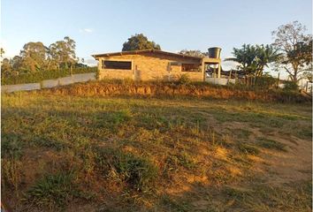 Lote de Terreno en  Timbio, Cauca