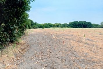 Lote de Terreno en  Andagoya, El Espinal