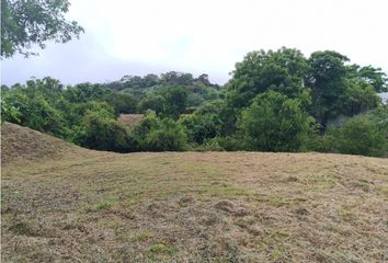 Lote de Terreno en  Anatolí, La Mesa