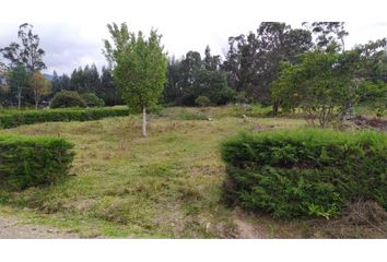 Lote de Terreno en  Villa De Leyva, Boyacá