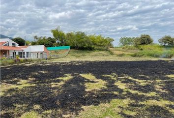 Lote de Terreno en  Porterillo, Palmira