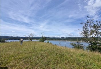 Lote de Terreno en  Alejandría, Antioquia