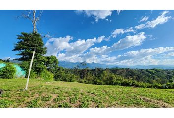 Lote de Terreno en  Pinares, Sur, Armenia