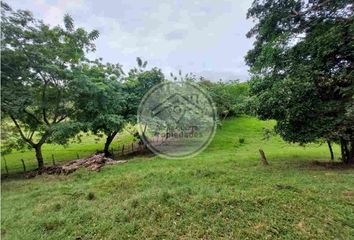 Lote de Terreno en  Santa Fe De Antioquia