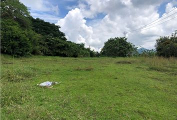 Lote de Terreno en  Cerritos, Pereira