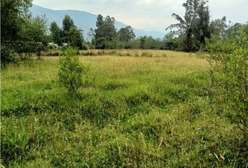 Lote de Terreno en  Villa De Leyva, Boyacá