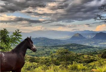 Villa-Quinta en  La Pintada, Antioquia