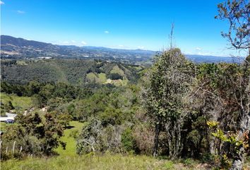 Lote de Terreno en  Guarne, Antioquia