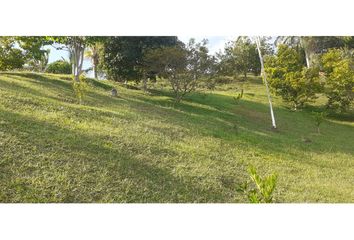 Lote de Terreno en  San Roque, Antioquia