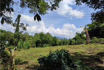 Lote de Terreno en  El Bosque, Universidad, Pereira