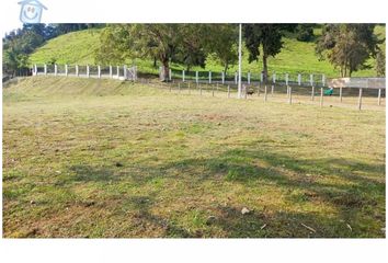 Lote de Terreno en  San Vicente, Centro Norte, Santa Rosa De Cabal