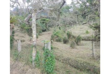 Lote de Terreno en  Tena, Cundinamarca