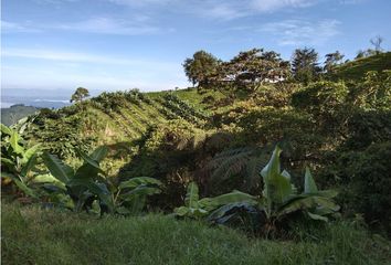 Villa-Quinta en  Pijao, Quindío