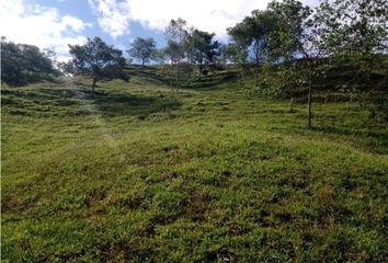 Lote de Terreno en  Campoalegre, El Cerrito Valle Del Cauca