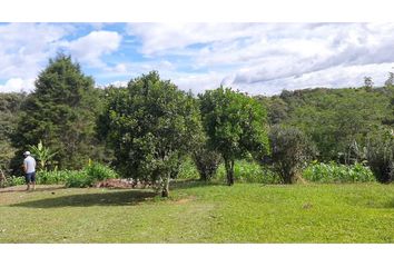 Lote de Terreno en  Villa Del Viento, Popayán