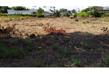 Lote de Terreno en  Picón - Arenal, Yopal