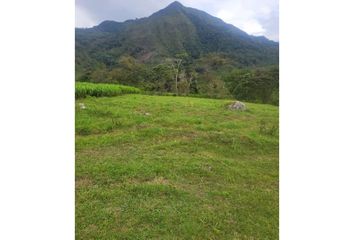 Lote de Terreno en  Chinácota, Norte De Santander