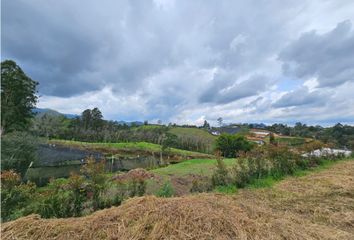 Lote de Terreno en  El Carmen De Viboral, Antioquia
