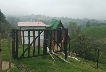 Lote de Terreno en  San Pedro De Los Milagros, Antioquia
