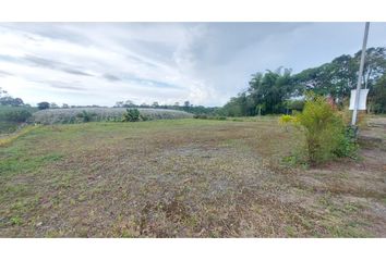 Lote de Terreno en  Calarcá, Quindío