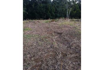 Lote de Terreno en  Florencia Cauca, Cauca