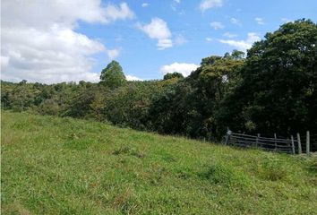 Lote de Terreno en  Pino Pardo, Popayán