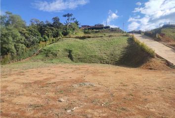 Lote de Terreno en  El Carmen De Viboral, Antioquia