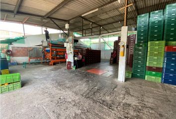 Bodega en  Anserma, Caldas