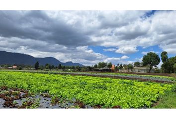 Villa-Quinta en  Tenjo, Cundinamarca