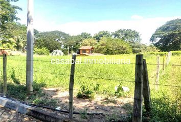 Lote de Terreno en  Carmen De Apicalá, Tolima