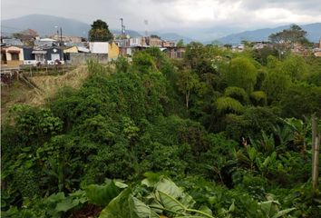 Lote de Terreno en  Sector Centro, Armenia