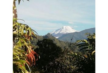 Villa-Quinta en  Santa Rita, Ibague