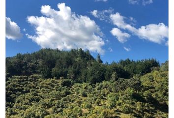 Lote de Terreno en  El Retiro, Antioquia