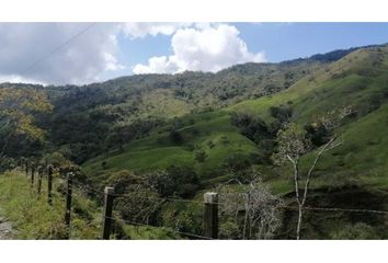 Villa-Quinta en  Alejandría, Antioquia