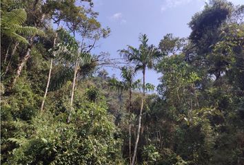 Villa-Quinta en  El Carmen De Viboral, Antioquia