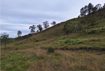 Lote de Terreno en  Guarne, Antioquia