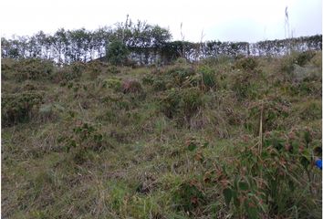 Lote de Terreno en  San Roque, Antioquia