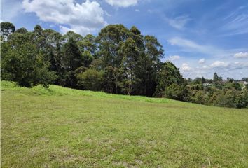 Lote de Terreno en  Rionegro Antioquía