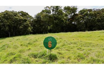 Lote de Terreno en  La Ceja, Antioquia