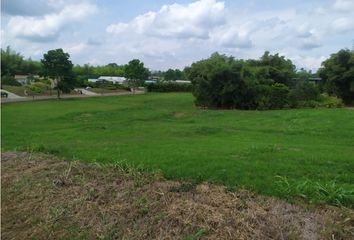 Lote de Terreno en  Cerritos, Pereira