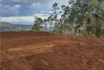 Lote de Terreno en  La Romelia Alta Y Baja, Dosquebradas