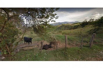 Lote de Terreno en  La Estrella, Antioquia