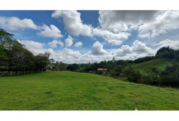 Lote de Terreno en  Rionegro Antioquía