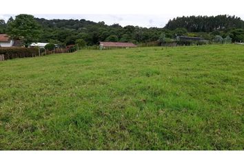 Lote de Terreno en  Salento, Quindío