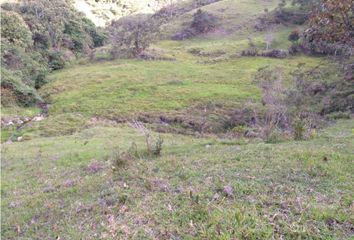 Lote de Terreno en  El Peñol, Antioquia