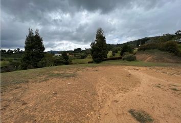 Lote de Terreno en  Rionegro Antioquía